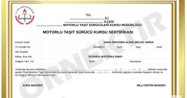 Ehliyet Sürücü Belgesi Eğitimi: Temel Bilgiler